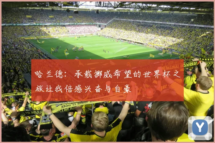 哈兰德：承载挪威希望的世界杯之旅让我倍感兴奋与自豪